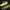 Nike Vintage Sportswear Sneakers Pria Black Yellow
