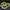 Nike Vintage Sportswear Sneakers Pria black yellow photo 1