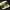 Nike Vintage Sportswear Sneakers Pria black yellow photo 4
