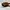Vintage Sunglass Wanita brown photo 7