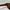 Vintage Sunglass Wanita brown photo 5