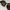 Vintage Sunglass Wanita gold brown photo 7
