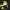 Nike Air Jordan Streetwear Sportswear Sneakers Pria black yellow photo 3