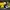 Nike Air Jordan Streetwear Sportswear Sneakers Pria Black Yellow