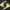 Nike Air Jordan Streetwear Sportswear Sneakers Pria black yellow photo 5