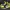 Nike Air Jordan Streetwear Sportswear Sneakers Pria black yellow photo 1