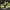 Nike Air Jordan Streetwear Sportswear Sneakers Pria Black Yellow