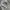 Streetwear Skater T-shirt Pria gray photo 6