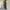 Lycee Angelique Utalitty Skirt 2000an photo 10