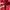 Kappa Casual Jumper Pria red photo 2