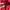 Kappa Casual Jumper Pria Red