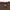 Dickies Streetwear Casual Sweatshirt Pria tan brown photo 3