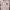 MLB Streetwear Casual Sweater Pria white photo 2