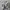Adidas Streetwear Y2K Sneakers Wanita white black photo 1