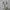 Adidas Streetwear Y2K Sneakers Wanita white black photo 2