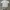 The North Face Casual T-shirt Pria White Black