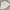 Vintage Mini skirt Wanita white photo 1