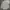 Japanese brand Streetwear Formal shirt Pria multicolor photo 5