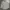 Japanese brand Streetwear Formal shirt Pria multicolor photo 2