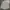 Japanese brand Streetwear Formal shirt Pria multicolor photo 6