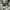 Japanese brand Streetwear Formal shirt Pria multicolor photo 4