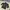 Streetwear Puffer Jacket Pria Black