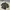Streetwear Puffer jacket Pria black photo 4