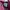 Adidas Streetwear Casual Sneakers Wanita multicolor burgundy photo 4