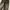 Streetwear Y2K Jeans Pria brown black photo 3