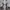 Neil Barrett Luxury Sweatshirt Pria White Tan