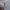 Neil Barrett Luxury Sweatshirt Pria white tan photo 4