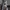 Neil Barrett Luxury Sweatshirt Pria white tan photo 3