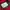 Gorpcore Windbreaker Pria red black photo 4