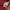 Streetwear T-shirt Pria burgundy photo 4