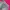 Vintage Coquette High Waisted Jeans Wanita Multicolor