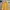 Windbreaker Wanita yellow photo 5