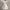 Minimalist Casual Shirt dress Wanita white photo 1