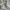 Minimalist Casual Shirt dress Wanita white photo 4