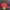 Vintage Streetwear Hat Pria red photo 2