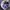 Vintage Streetwear Hat Pria blue photo 4