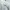 The North Face Casual Sweatshirt Pria gray photo 3