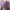 Y2K Casual Blouse Wanita purple photo 2