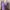 Y2K Casual Blouse Wanita purple photo 1