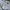 A.P.C. Luxury Casual T-shirt Pria white photo 4