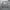 Dickies Casual Sweatshirt Pria gray photo 1