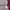Nike Vintage Y2K Sweater Pria burgundy photo 6