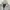 Japanese brand Sportswear Casual Windbreaker Pria gray photo 2