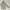 Japanese Brand Sportswear Casual Windbreaker Pria Gray