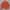 Dickies Casual Sweatshirt Pria orange photo 1
