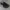 SABA Footwear Sportswear Sneakers Pria black photo 2
